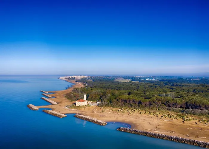 Modern With Terrace *