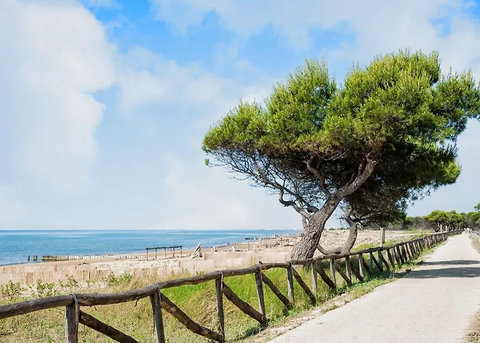 公寓 Modern With Terrace *